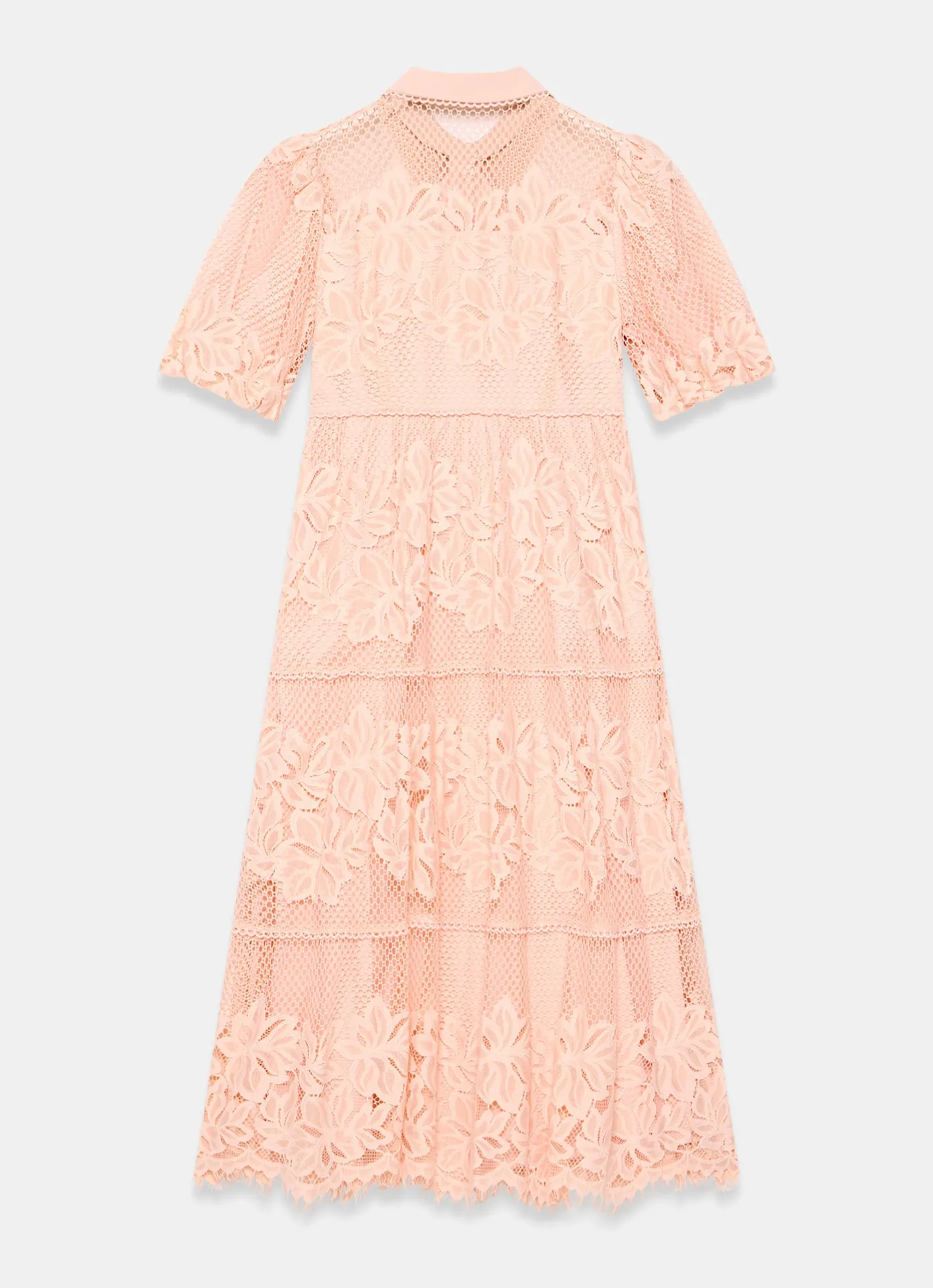 Best Pink Lace Midi Shirt Dress Occasion Dresses|Occasion Dresses